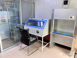 全國黑木耳科技培訓(xùn)通知（第710期）